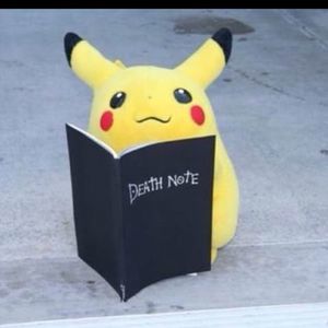 Meet your Posher, Elise